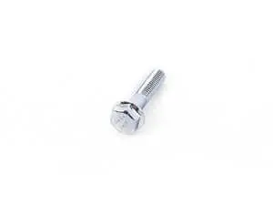 Flange Screw - Priced Each