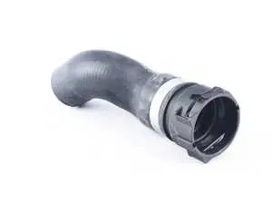 Lower Radiator Hose