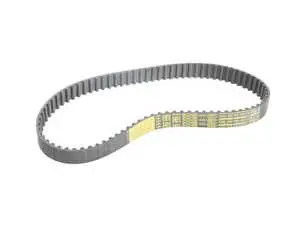 Fuel Pump Drive Belt