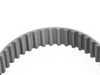 ES#277834 - 059109119F - Fuel Pump Drive Belt - Drives the high pressure fuel pump - Genuine Volkswagen Audi - Audi Volkswagen