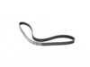 ES#2593218 - 06J260849FKT1 - Accessory Belt Kit - Keep your accessories running properly! - Assembled By ECS - Audi
