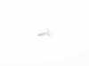 ES#174946 - 63256916384 - BOLT - (NO LONGER AVAILABLE) - Genuine MINI - 