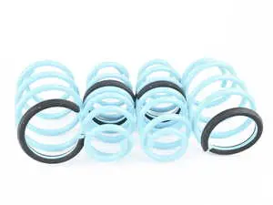 Godspeed Traction-S Lowering Springs
