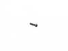 ES#3354037 - PCG91900807 - OVAL-HEAD SCREW 4X13 - Genuine Porsche - Porsche