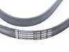 ES#2597716 - 11510392553RKT - ECS Cooling System Refresh Kit - Level 2  - A more advanced refresh kit - with primary cooling system hoses and accessory belt - Assembled By ECS - BMW