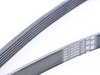 ES#2574536 - 078198479V2GATE - ECS Tuning Timing Belt Kit - Ultimate Plus - Looking for the best timing belt kit on the market? Look no further than ECS Tuning - Assembled By ECS - Volkswagen