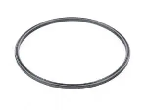 Sealing Ring