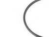 ES#3551543 - 16146750467 - Sealing Ring - Used for the in-tank fuel pump - URO - BMW