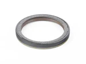 Crankshaft Seal - Rear