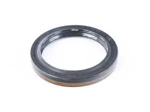 Shaft Seal 