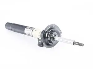 Strut Assembly - Right