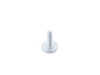 ES#1897547 - 07149158760 - FILLISTER HEAD SCREW - Genuine BMW - BMW