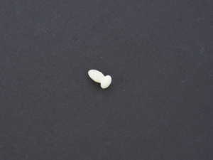 ES#175662 - 64111355863 - OBS PLASTIC RIVET - Genuine BMW - BMW