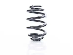 E46 Rear Coil Spring