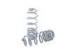 ES#3575784 - 034-404-1004 - Dynamic+ Lowering Springs - Engineered to improve handling and deliver superb ride quality! - 034Motorsport - Volkswagen