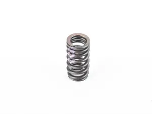 VALVE SPRING