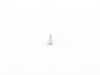 ES#2665169 - 07119907470 - TORX SHEET-METAL SCREW - Genuine BMW - BMW MINI