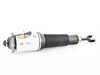 ES#3546775 - AS-2778 - Front Air Suspension Strut - Left - Front Axle, Left Side - Arnott - Audi