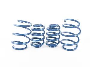 E46 M3 Performance Spring Set