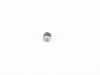 ES#20605 - 11241280833 - DOWELL - Genuine BMW - BMW