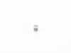 ES#20605 - 11241280833 - DOWELL - Genuine BMW - BMW