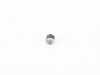 ES#20605 - 11241280833 - DOWELL - Genuine BMW - BMW