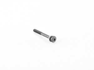 ES#263163 - 24317588743 - TORXSCHRAUBE MIT DIC - Genuine BMW - BMW