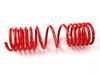 ES#248822 - 54740-88 - Race Spring Set - Average lowering front: 1.00" rear: 1.00" - H&R - Volkswagen