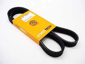 Accessory Belt