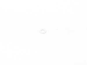ES#2066462 - 90002500203 - Washer - Priced Each - 4.3mm - Genuine Porsche - Audi BMW Volkswagen Mercedes Benz MINI Porsche
