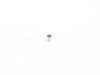 ES#2676237 - 11127606504 - DOWEL - Genuine MINI - 