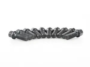 APR Lug Bolts (Set of 10) - 37mm