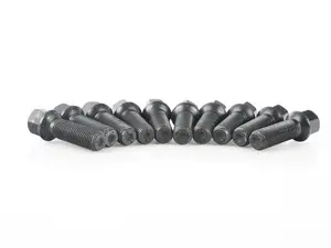 APR Lug Bolts (Set of 10) - 40mm