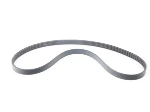Accessory Belt