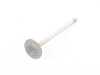 ES#23010 - 11347799612 - EURO INTAKE VALVE - Genuine BMW - BMW
