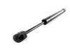 ES#91936 - 51241960862 - Trunk Gas Strut - Priced Each - Keep your trunk lid up. - Genuine BMW - BMW