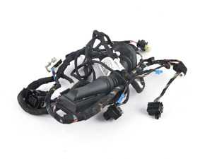 ES#3213798 - 61129325958 - Driver's Side Door Cable Harness - (NO LONGER AVAILABLE) - Genuine BMW - 