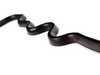 ES#2678199 - 1160161321 - Valve Cover Gasket - Left Side - Hebmuller - Mercedes Benz