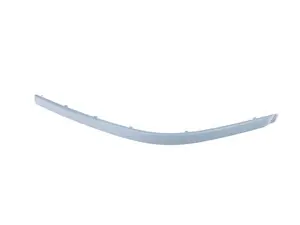BUMPER GUARD