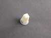 ES#16661 - 07146976114 - Expanding Nut - Priced Each - Used in various places throughout your BMW - Genuine BMW - BMW