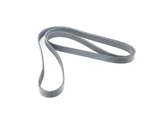 Accessory Belt (2115 MM)