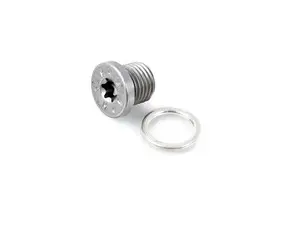 Drain Plug - With Washer