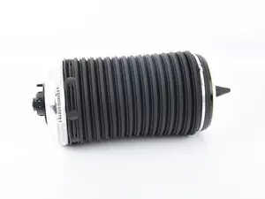 Rear Air Spring Damper - Right
