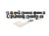 ES#3521371 - 109585 - 12v VR6 276 Camshaft Set - TT 12V VR6 CAMSHAFT SET (276 HYD - SPORT/MILD RACE) - Techtonics Tuning - Volkswagen