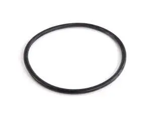 Thermostat O-Ring