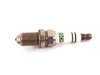ES#28037 - 12129069877 - Spark Plug - Bosch FGR-8-KQE, NGK BKR6EQUP (3199) - Factory direct replacement - Genuine BMW - BMW