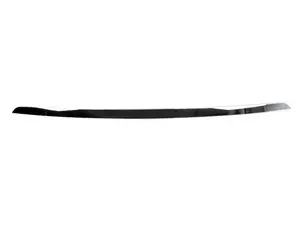 TRIM STRIP, BUMPER, REAR