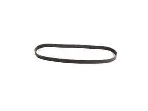 Accessory Belt