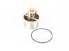 ES#3504799 - 11531318274 - Thermostat - 80C - Does not include gasket - Rein - 