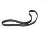 ES#3234785 - 06B109119A - Timing Belt - The most important belt on your engine - Gates - Audi Volkswagen